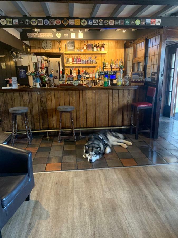 The Old Ship Inn Lowdham المظهر الخارجي الصورة