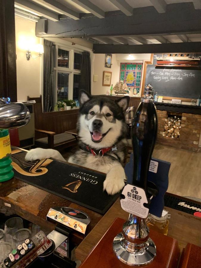 The Old Ship Inn Lowdham المظهر الخارجي الصورة